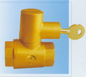 GX-101�����򷧣�Կ�״��ֱ��Ӹǣ�