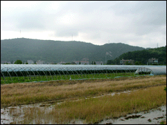 高山头村